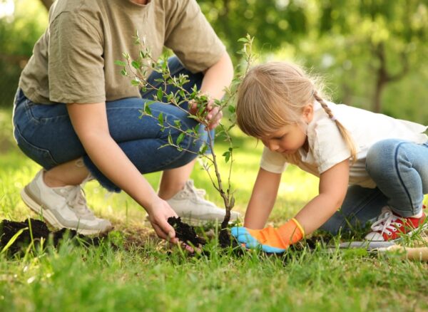 Mother,And,Her,Daughter,Planting,Tree,Together,In,Garden