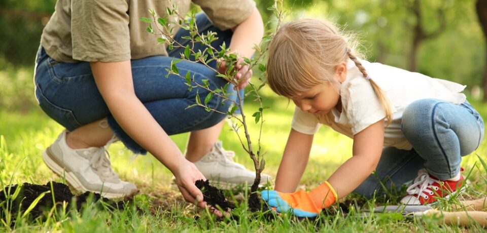 Mother,And,Her,Daughter,Planting,Tree,Together,In,Garden
