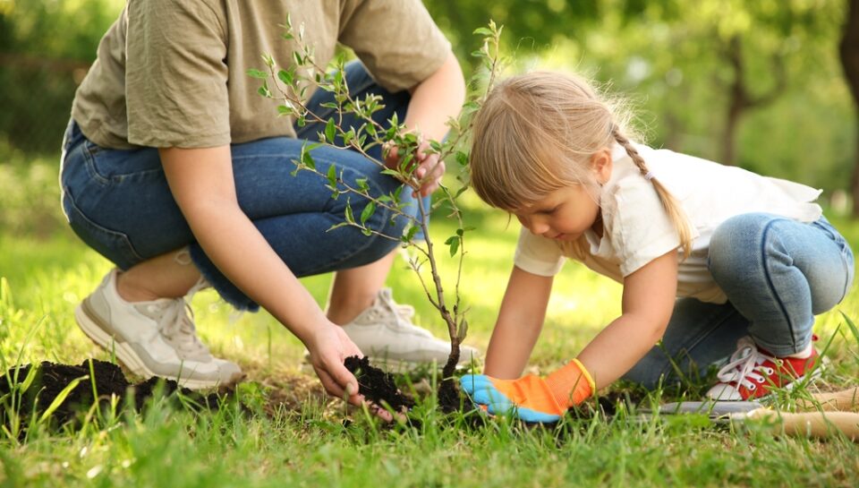 Mother,And,Her,Daughter,Planting,Tree,Together,In,Garden Mother,And,Her,Daughter,Planting,Tree,Together,In,Garden